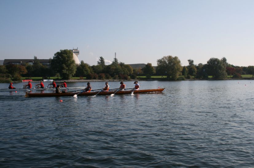 DSM_2007_ 115